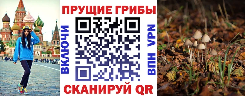 продажа наркотиков  Славск  Псилоцибиновые грибы мухоморы 